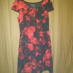 Women's Dress